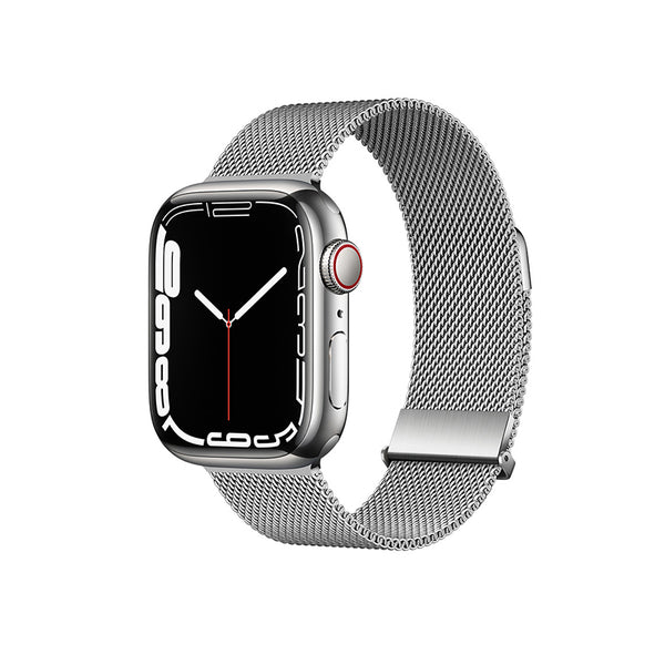 Stainless Steel Alloy Magnetic Strap